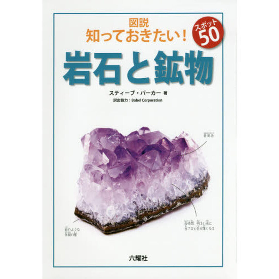 図説知っておきたい！スポット５０岩石と鉱物