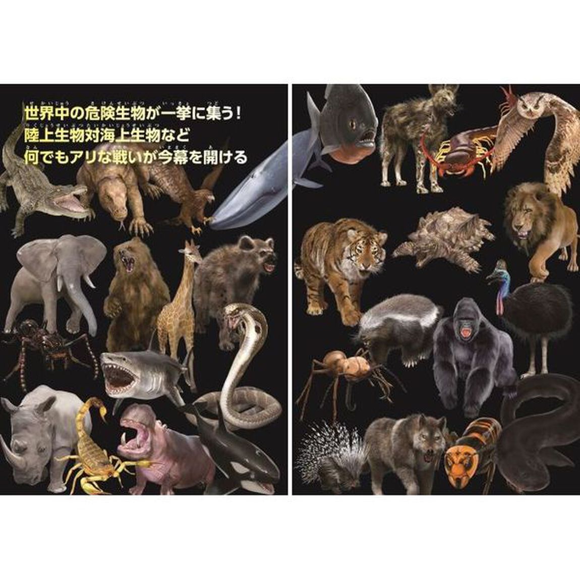 超危険生物最強バトル大図鑑　ナンバーワン決定トーナメントバトル！