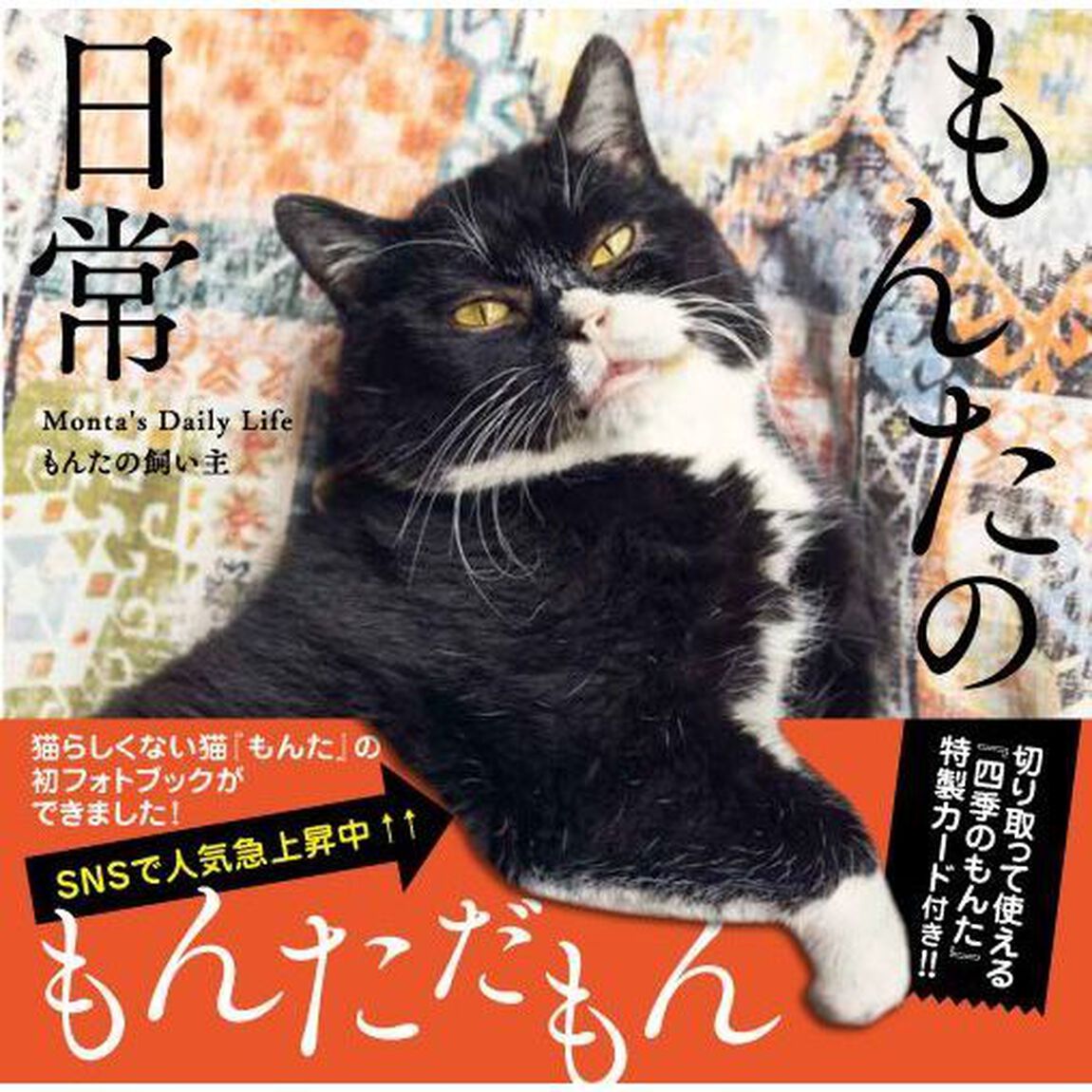 もんたの日常