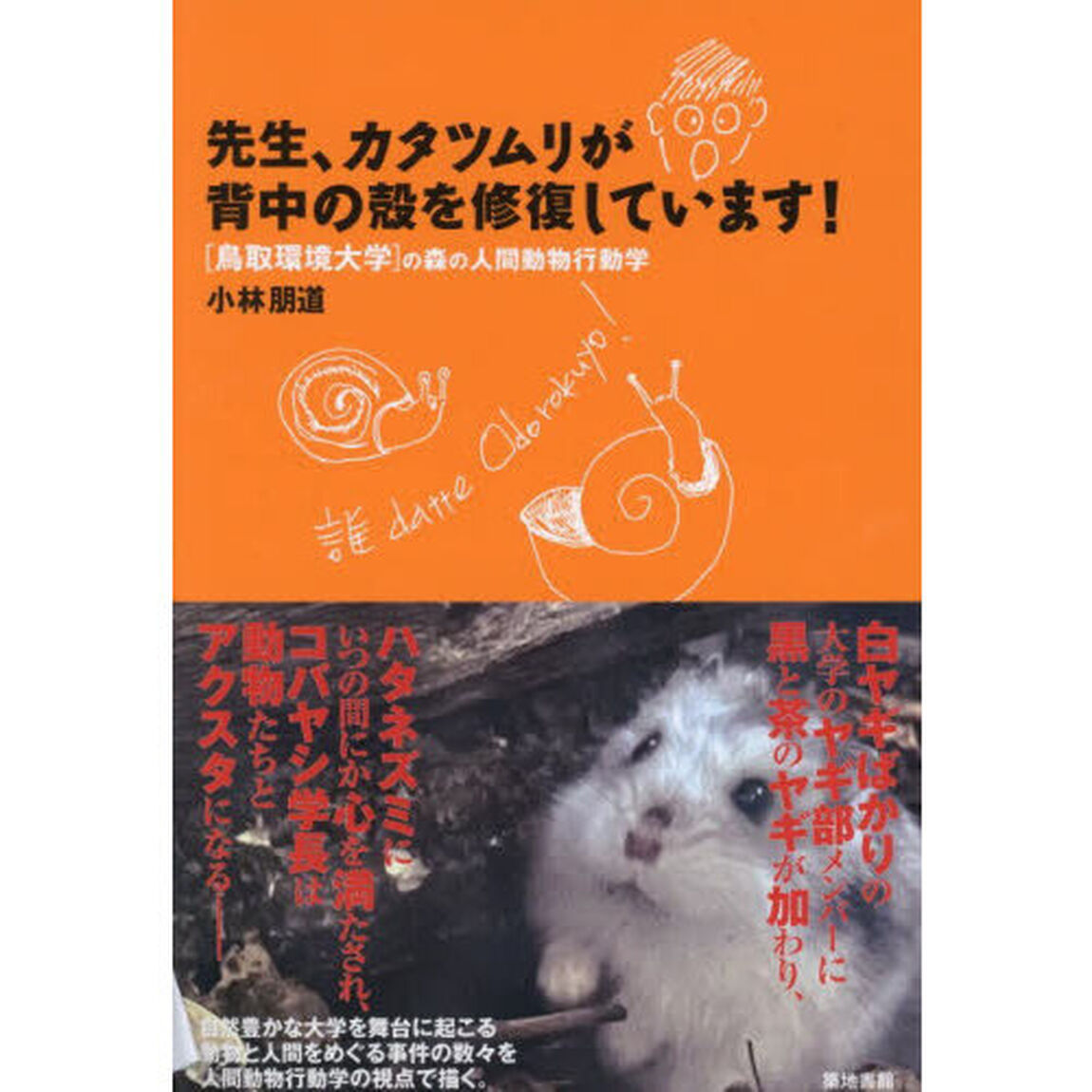 先生、カタツムリが背中の殻を修復しています！