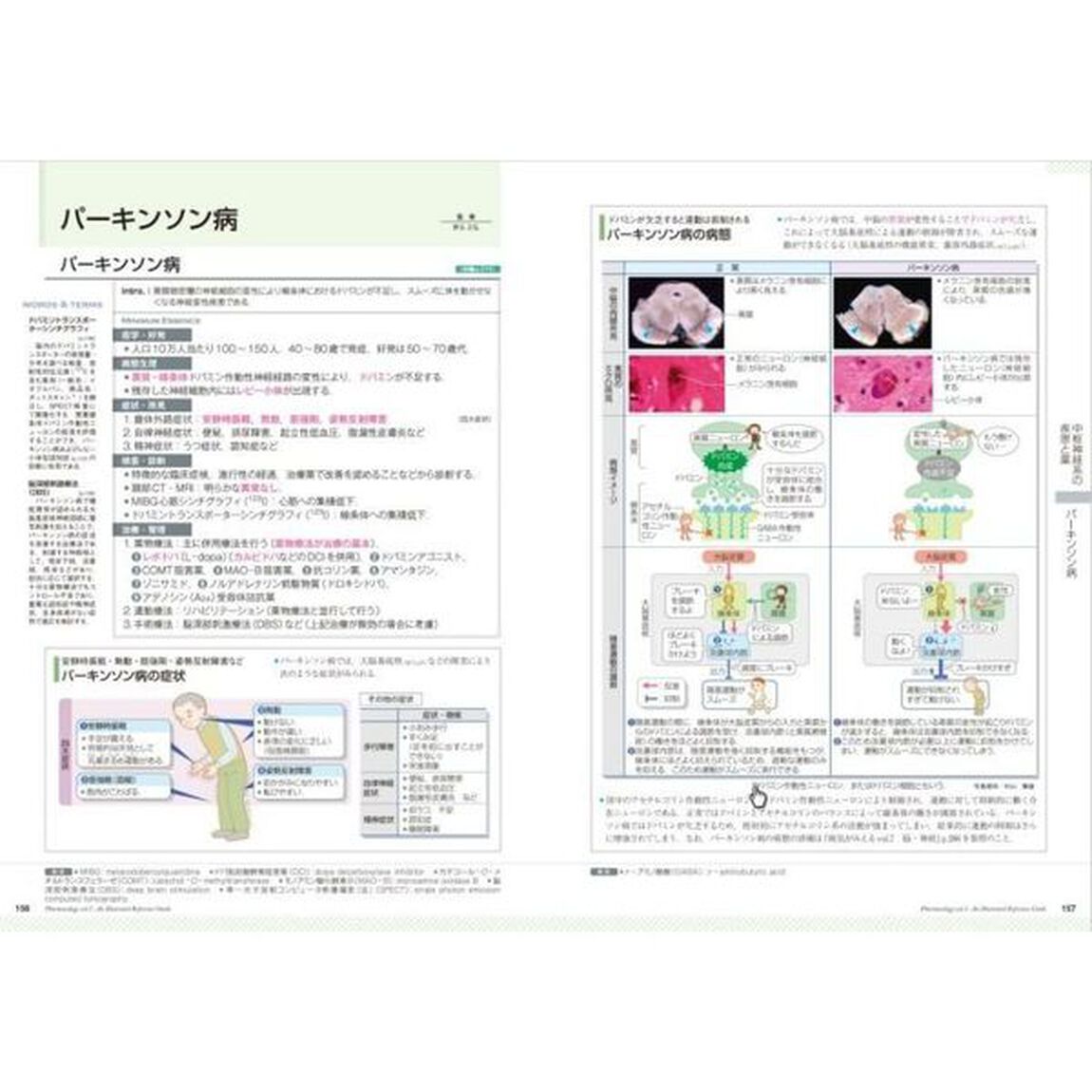 薬がみえる　ｖｏｌ．１「神経系の疾患と薬　循環器系の疾患と薬　腎・泌尿器系の疾患と薬」
