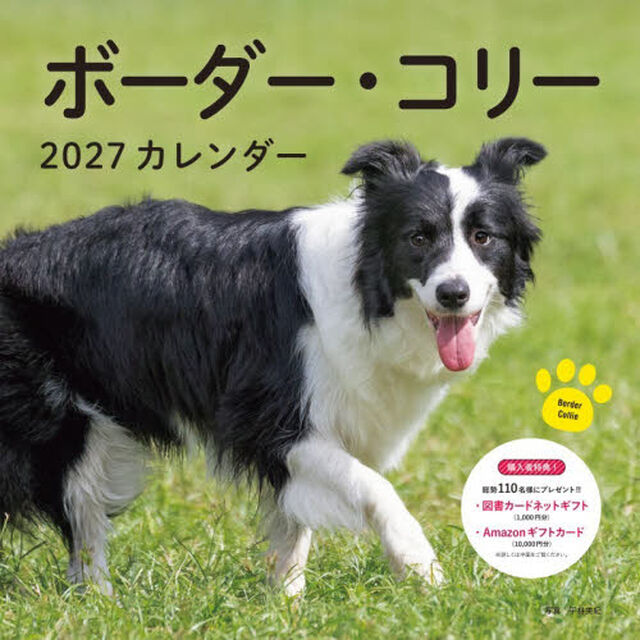 &rsquo;２７　カレンダーボーダー・コリー