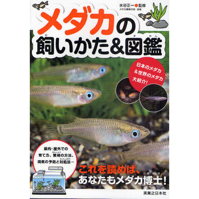 メダカの飼いかた＆図鑑