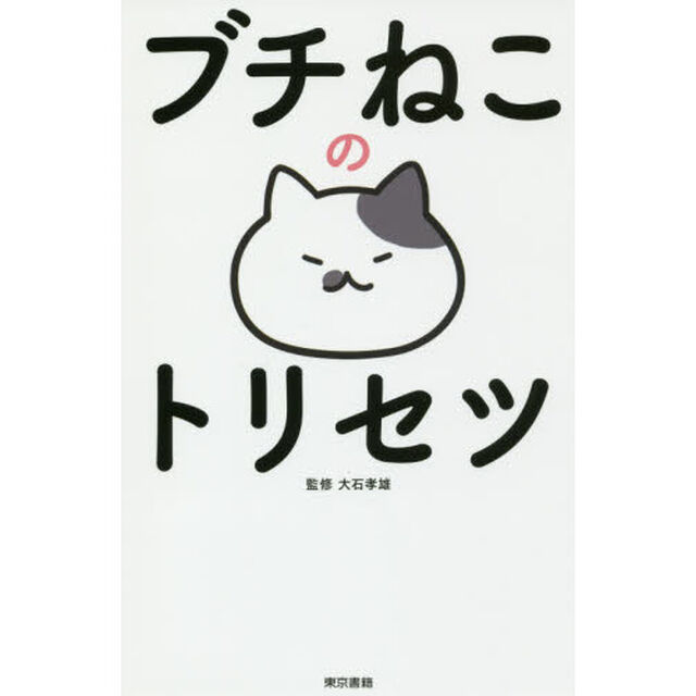 ブチねこのトリセツ