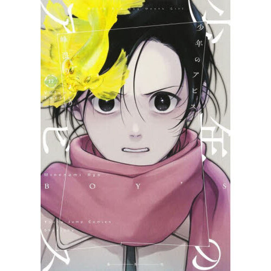 少年のアビス　１２