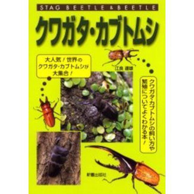 クワガタ・カブトムシ