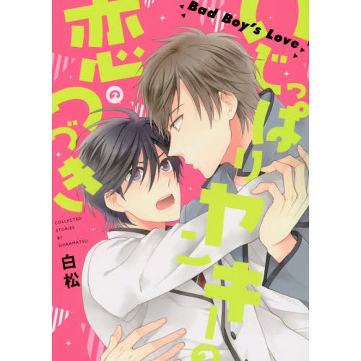 いじっぱりヤンキーの恋のつづき