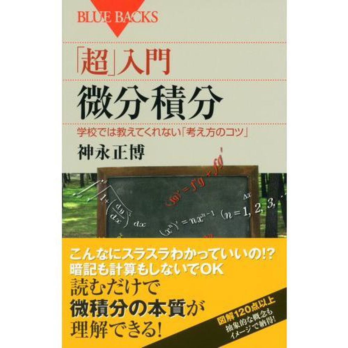 「超」入門微分積分　学校では教えてくれない「考え方のコツ」