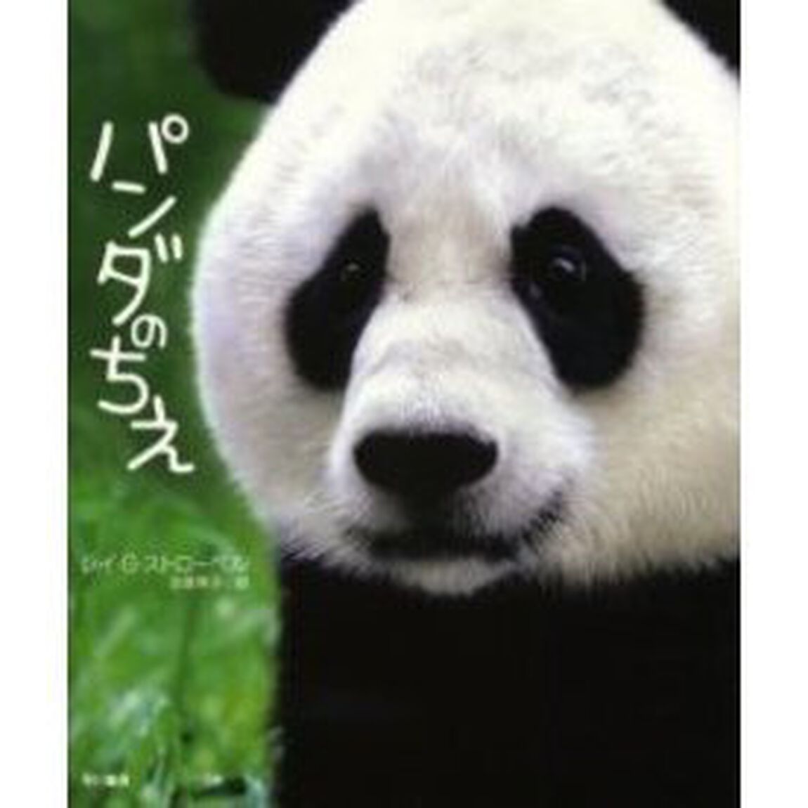 パンダのちえ