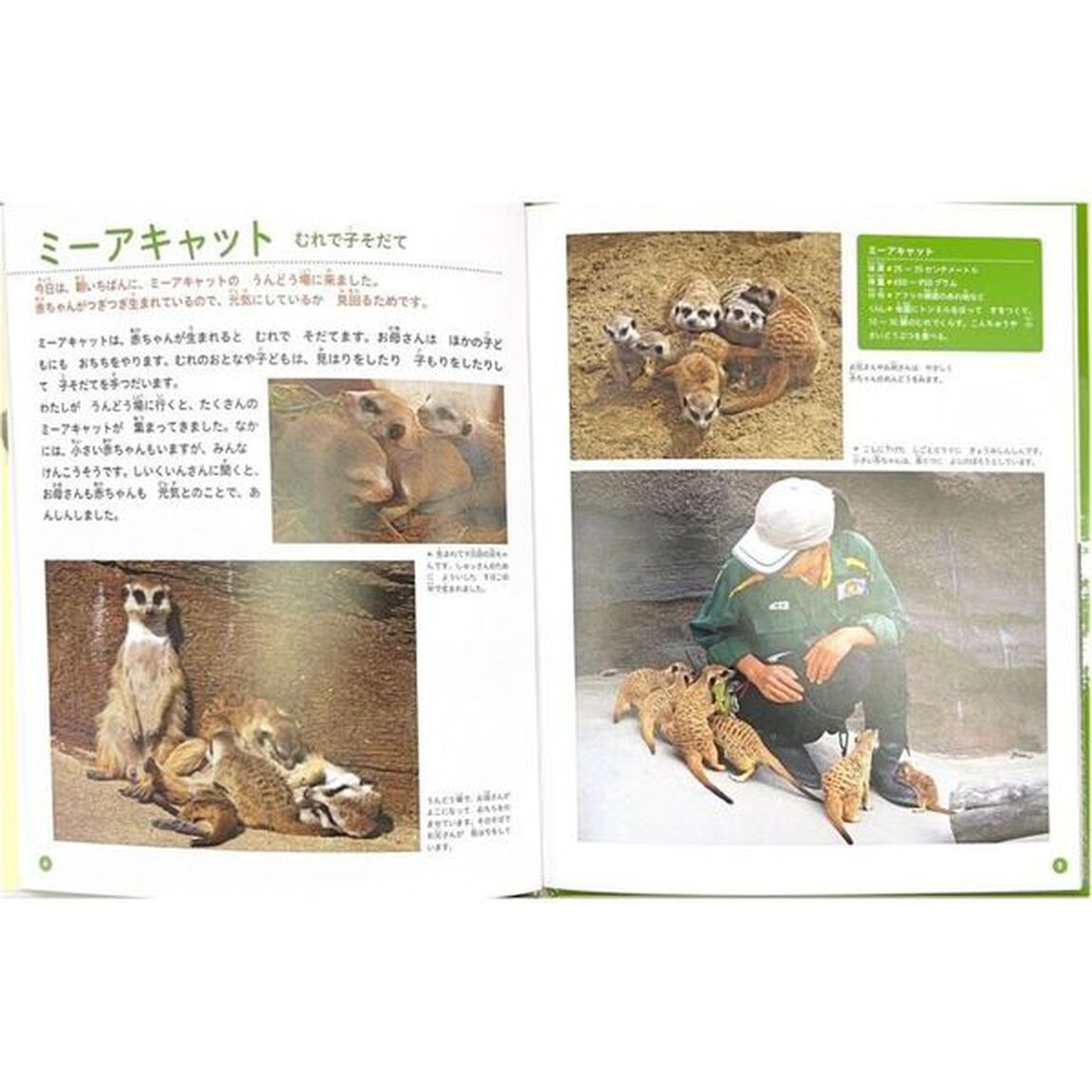 どうぶつ園のじゅうい　〔２〕「赤ちゃんをまもるしごと」