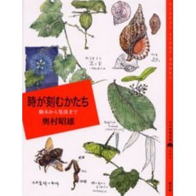時が刻むかたち　樹木から集落まで