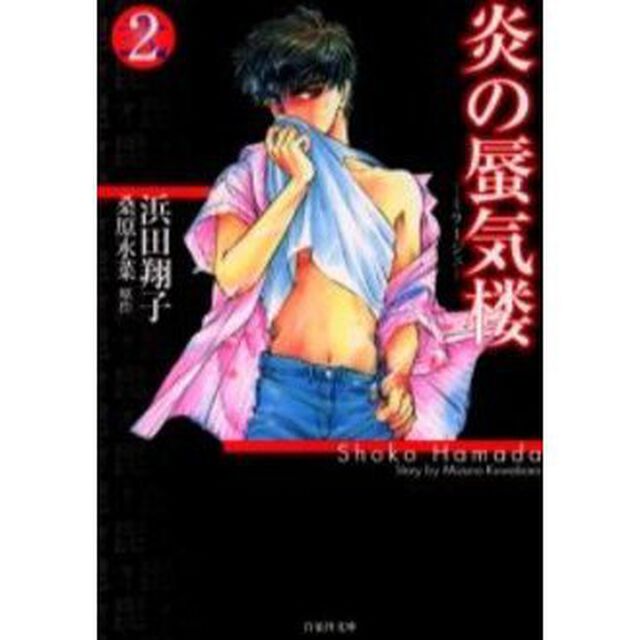 炎の蜃気楼（ミラージュ）　２