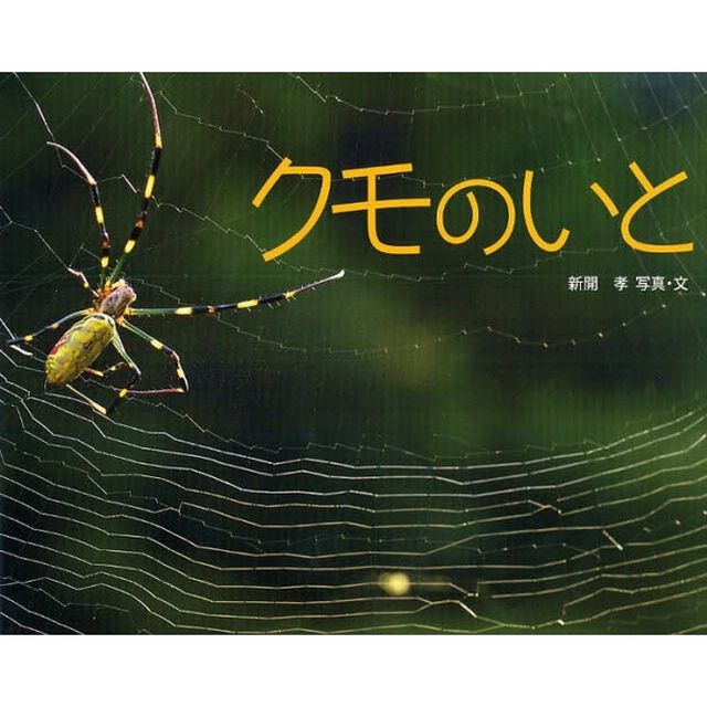 クモのいと