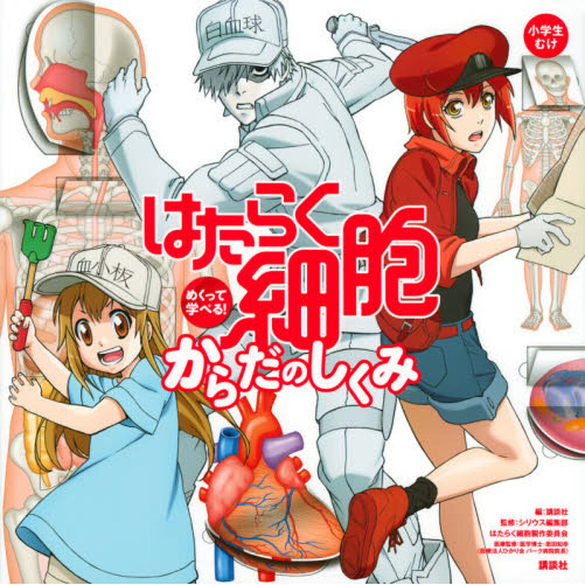 はたらく細胞めくって学べる！からだのしくみ