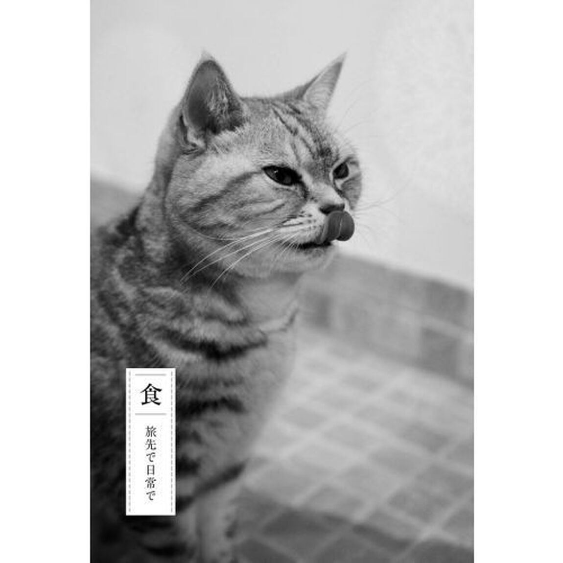 晴れの日散歩