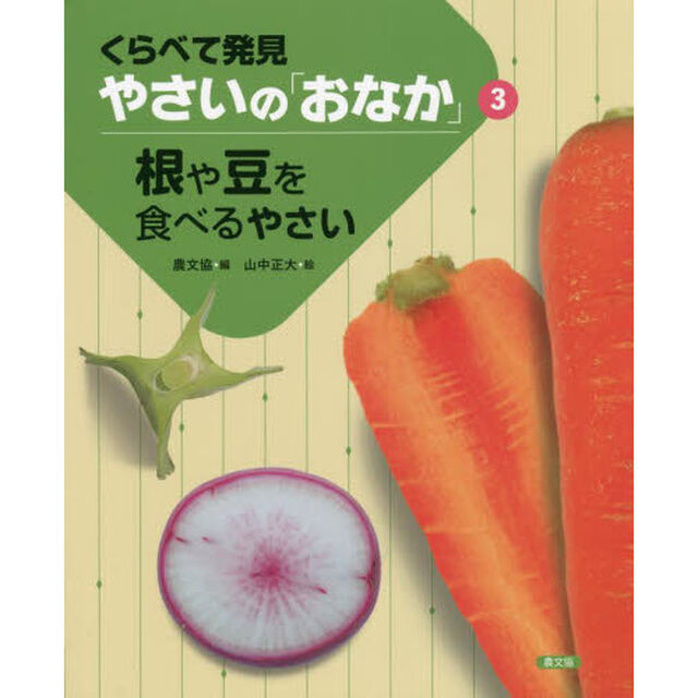 くらべて発見やさいの「おなか」　３「根や豆を食べるやさい」
