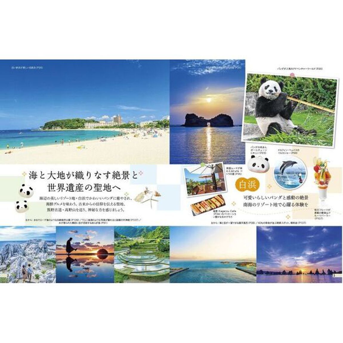 南紀白浜　熊野古道　高野山　〔２０２３〕