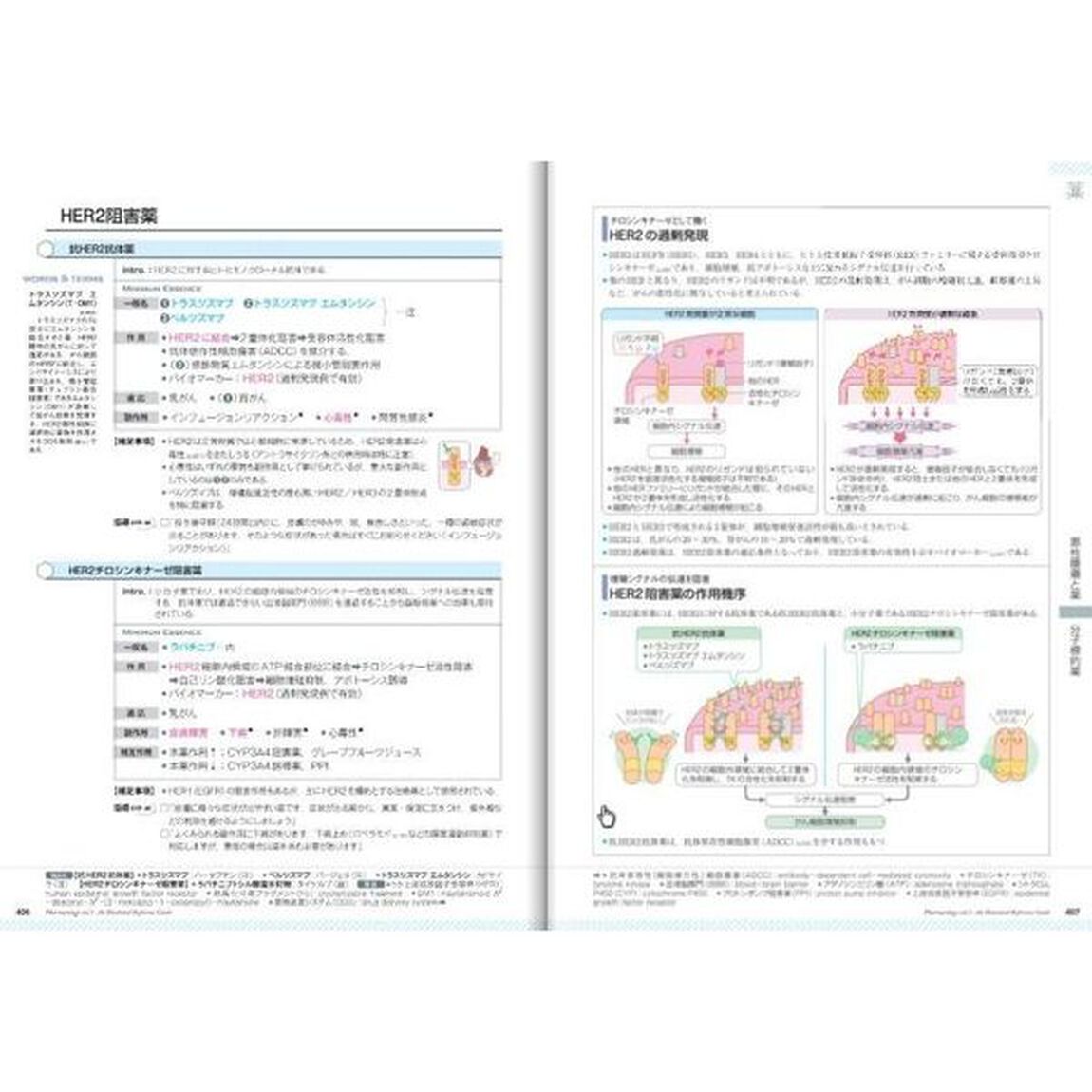 薬がみえる　ｖｏｌ．３「消化器系の疾患と薬　呼吸器系の疾患と薬　感染症と薬　悪性腫瘍と薬」