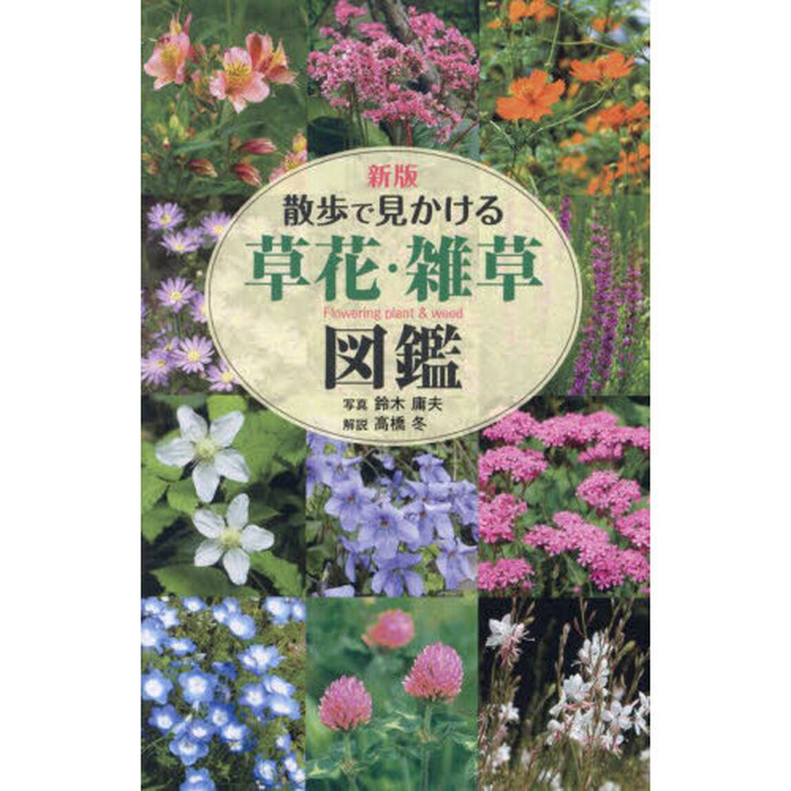 散歩で見かける草花・雑草図鑑「新版」