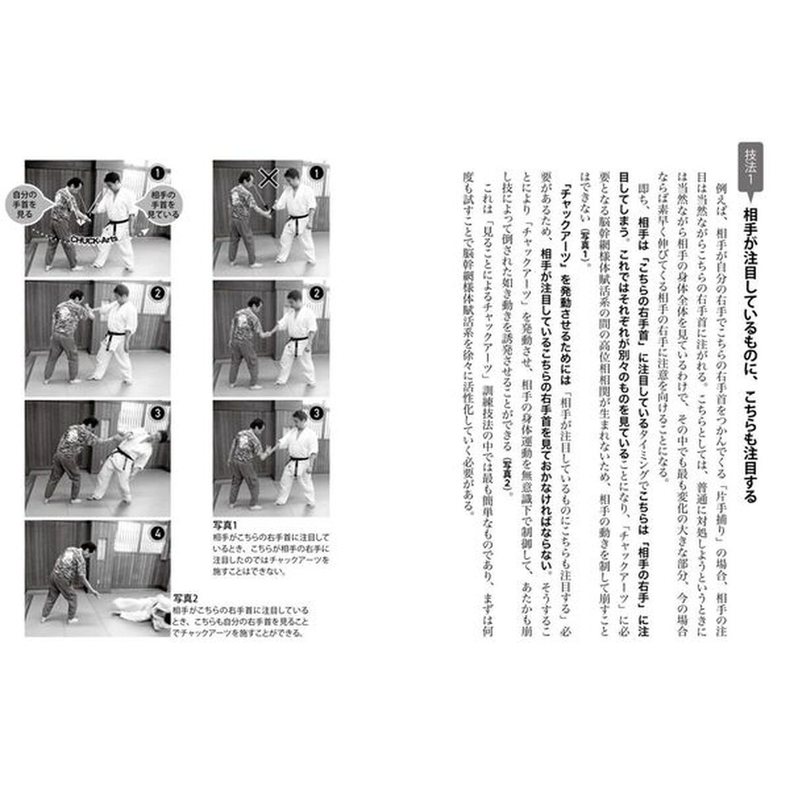 理論物理学と脳科学でわかった達人の合気は超脳力である　見ること、聞くこと、話すこと、動くこと、思うことから全てが始まる　ＣＨＵＣＫ　Ａｒｔｓ入門！