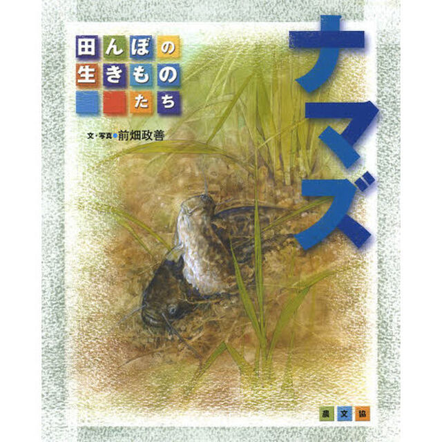 ナマズ