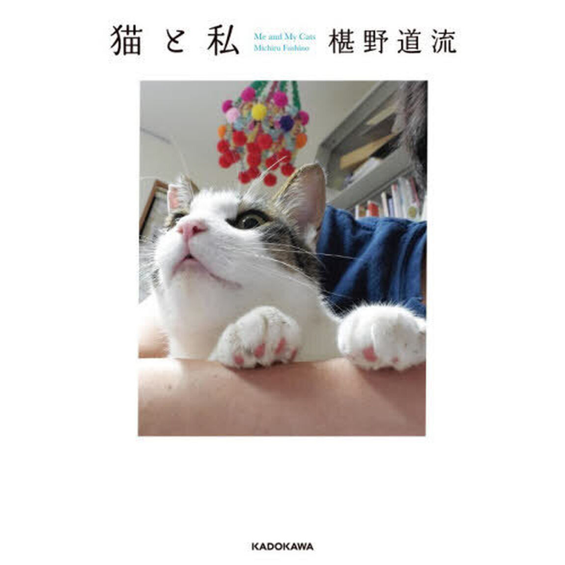 猫と私