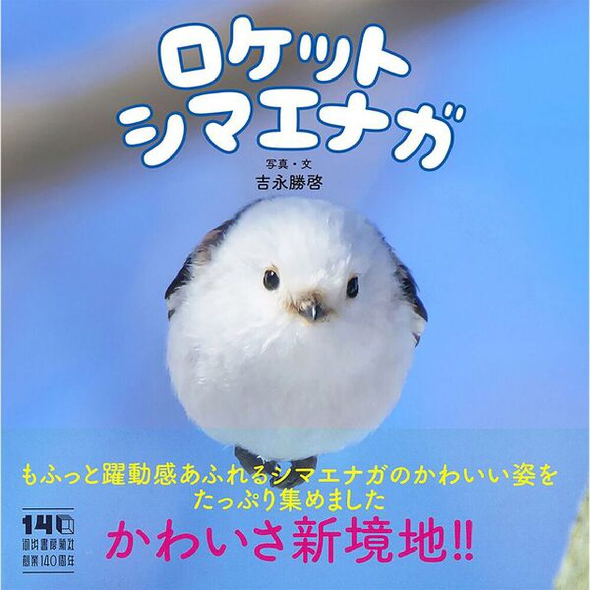 ロケットシマエナガ