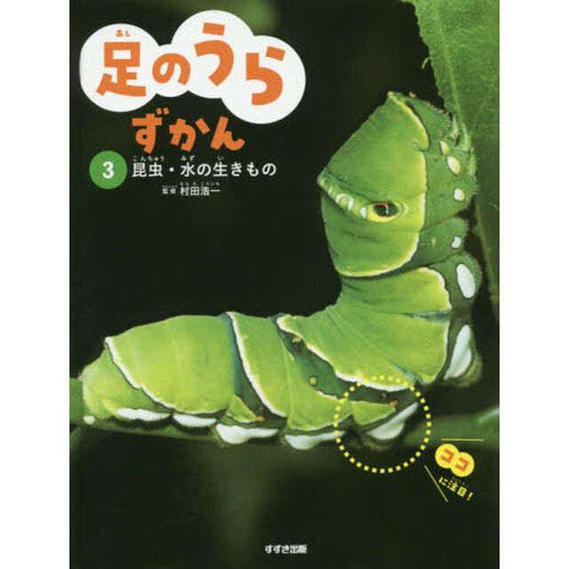足のうらずかん　３「昆虫・水の生きもの」
