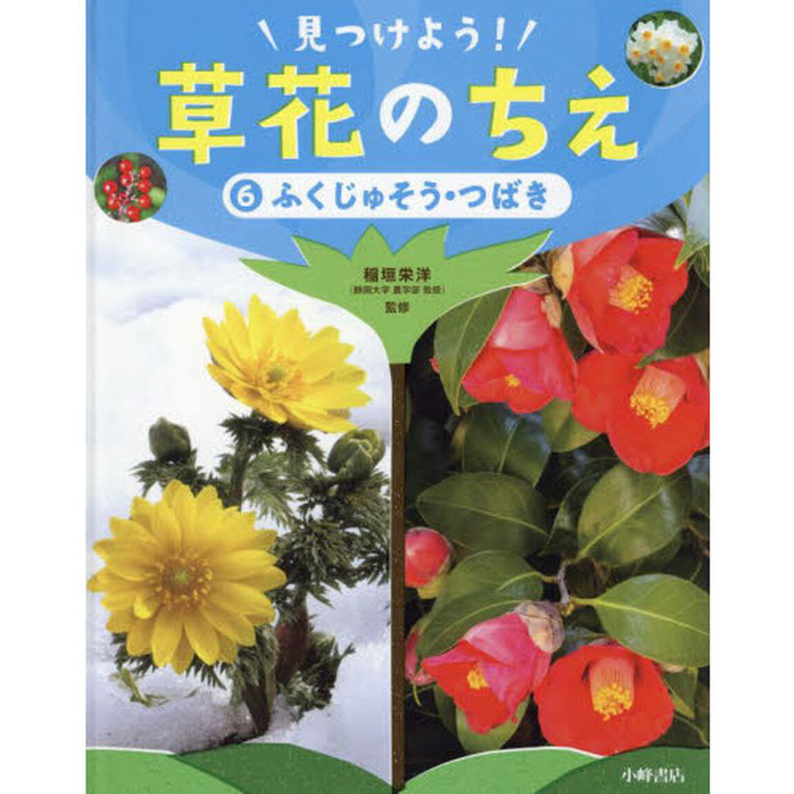 見つけよう！草花のちえ　６「ふくじゅそう・つばき」