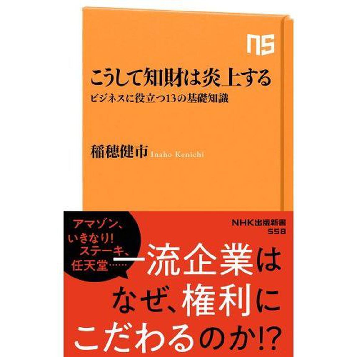 こうして知財は炎上する　ビジネスに役立つ１３の基礎知識