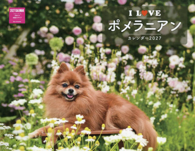 &rsquo;２７Ｉ　ＬＯＶＥポメラニアンカレンダー