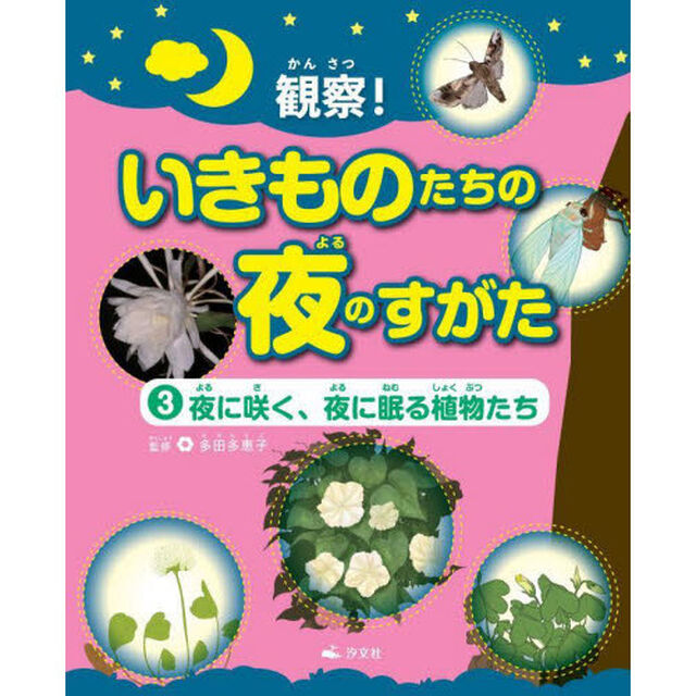 観察！いきものたちの夜のすがた　３「夜に咲く、夜に眠る植物たち」