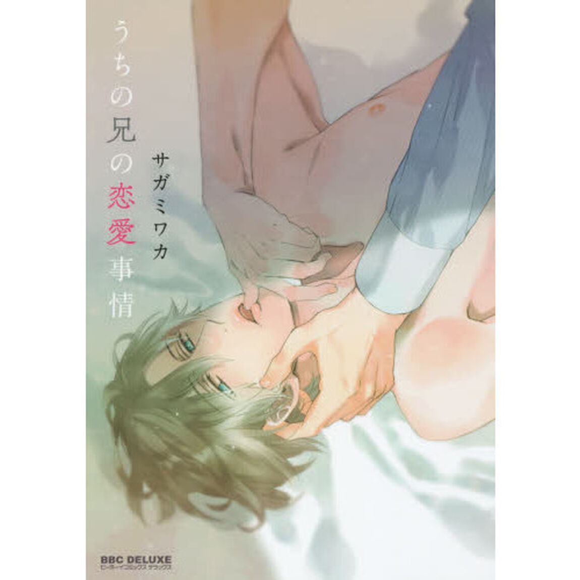 うちの兄の恋愛事情