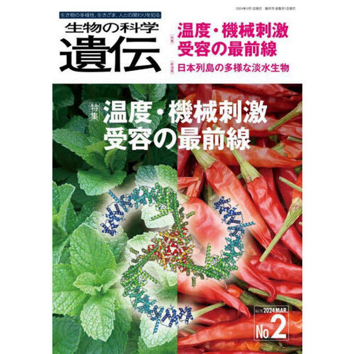 生物の科学遺伝　Ｖｏｌ．７８Ｎｏ．２（２０２４ＭＡＲ．）「温度・機械刺激受容の最前線」