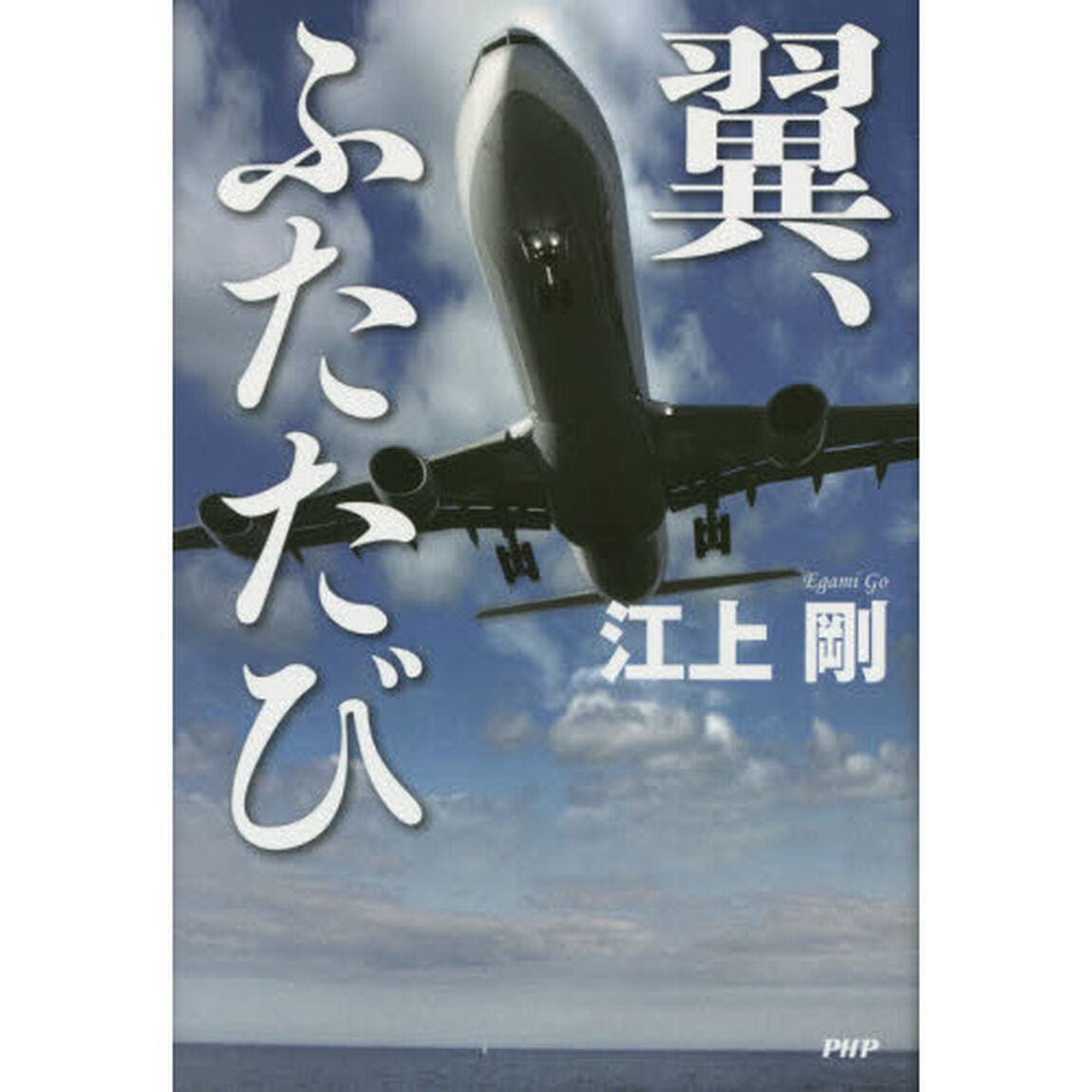翼、ふたたび