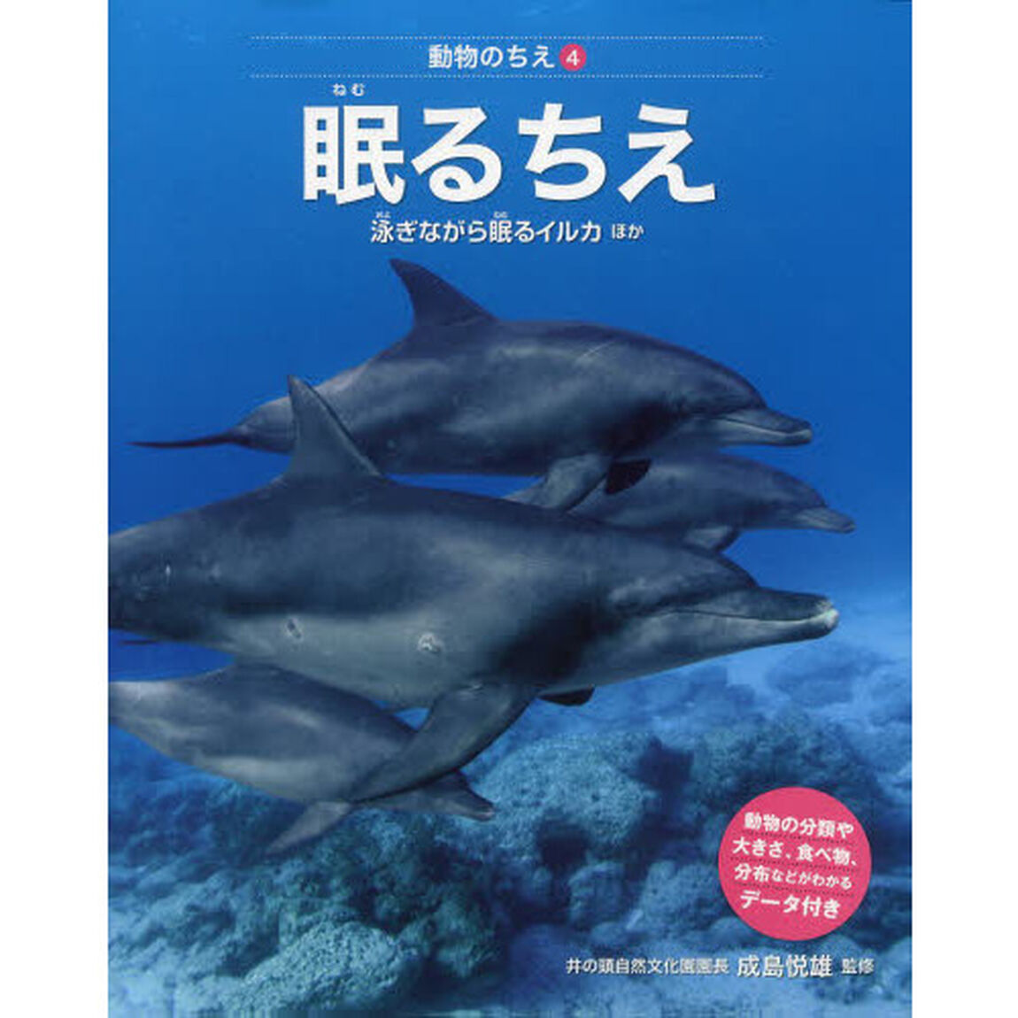 動物のちえ　４「眠るちえ　泳ぎながら眠るイルカほか」
