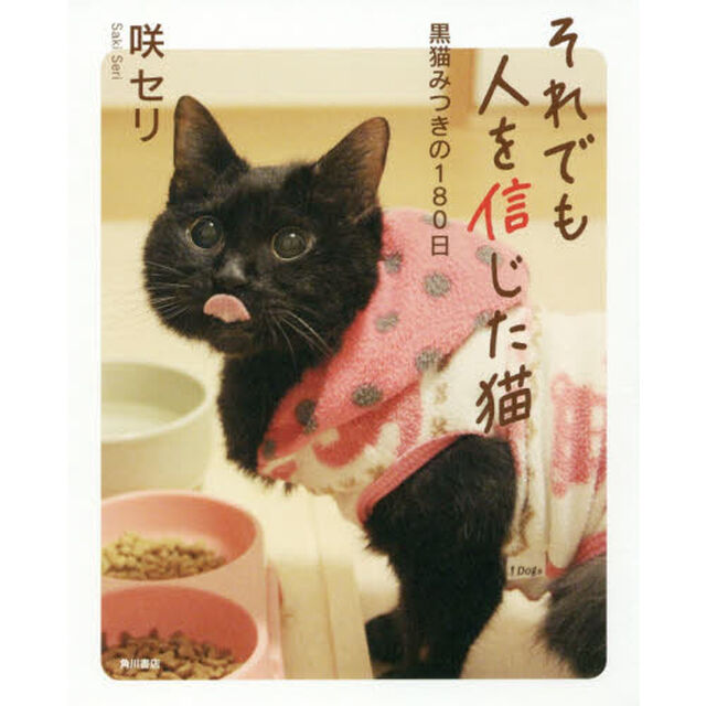 それでも人を信じた猫　黒猫みつきの１８０日