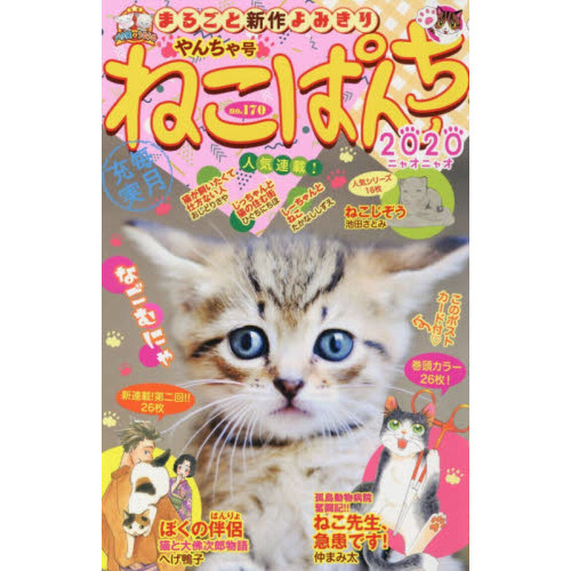 ねこぱんち　やんちゃ号