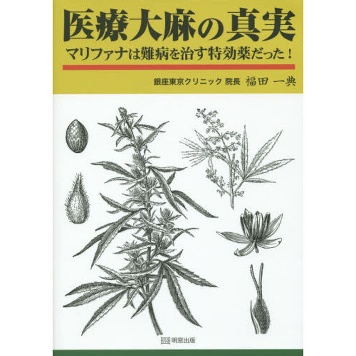 医療大麻の真実　マリファナは難病を治す特効薬だった！