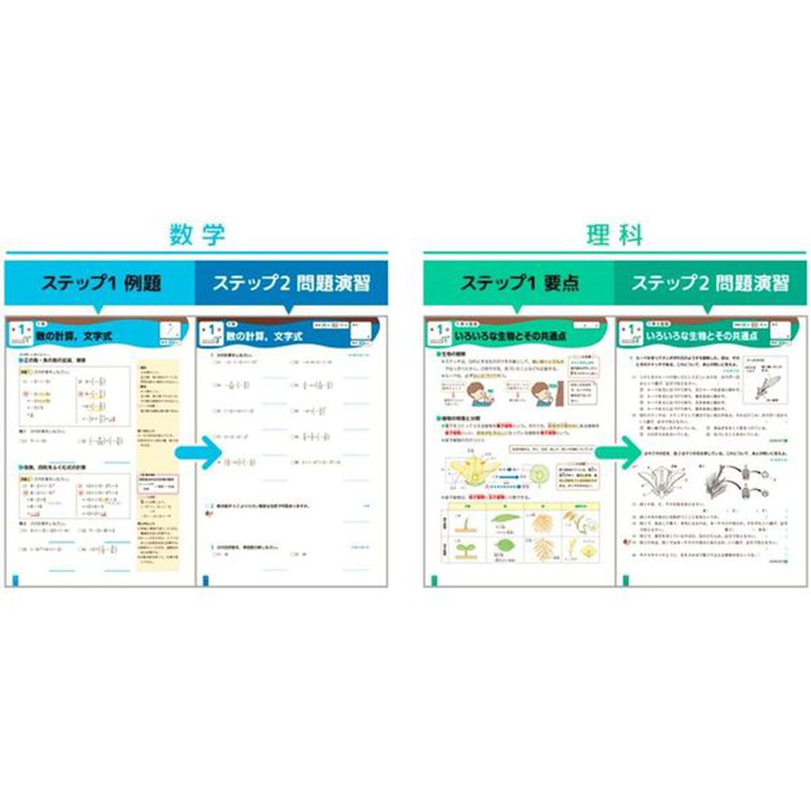 １５回で完成ホントにわかる中学３年間の総復習社会