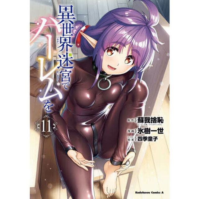 異世界迷宮でハーレムを　１１
