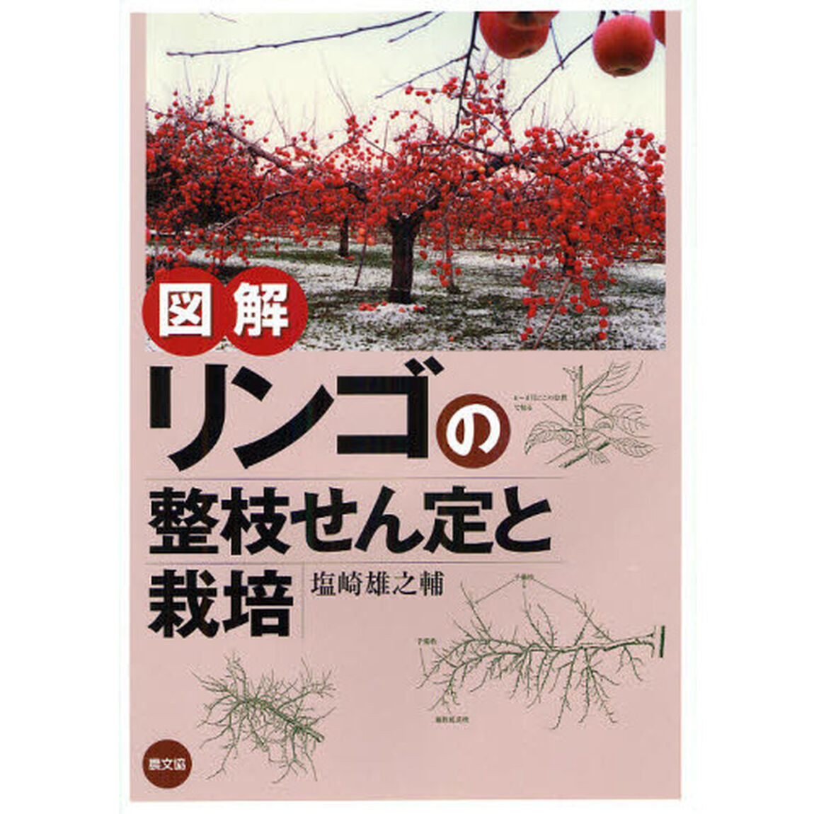 図解リンゴの整枝せん定と栽培