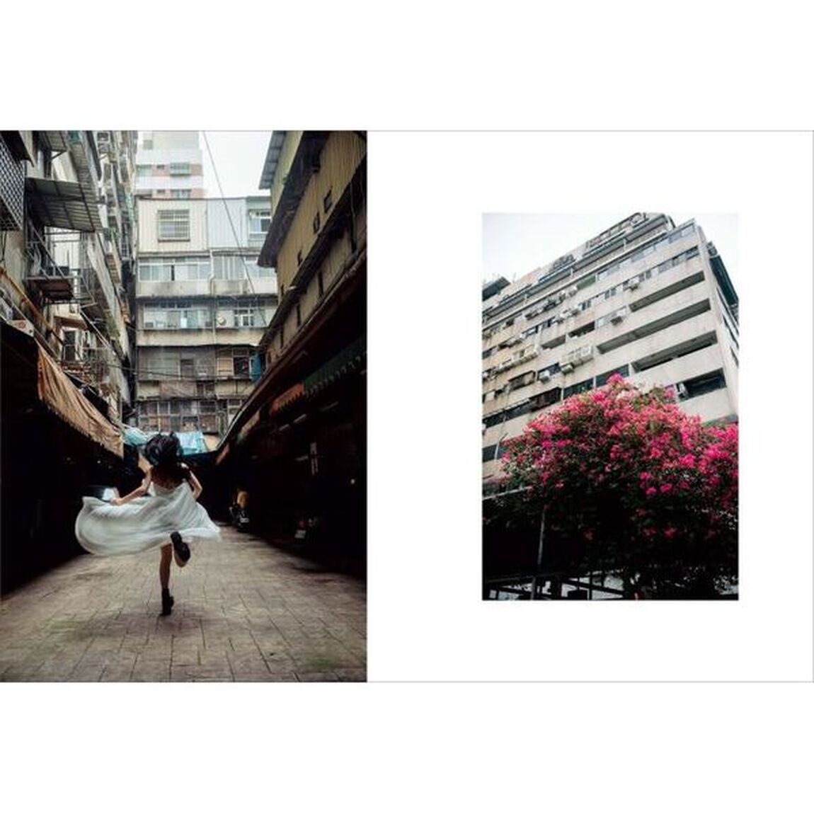 ｉｍｐｅｒｍａｎｅｎｃｅ　高橋伸哉写真集