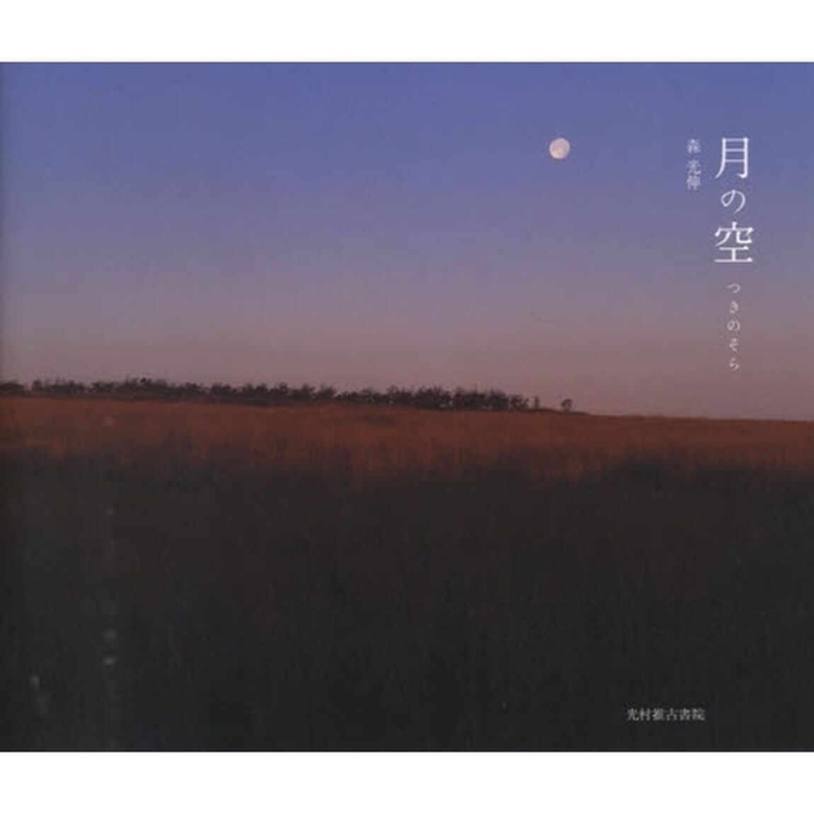 月の空