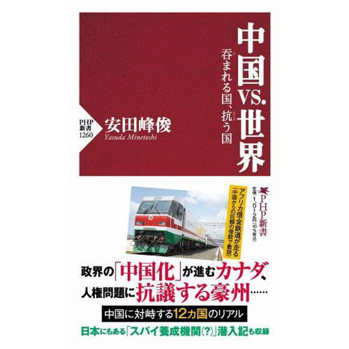 中国ｖｓ．世界　呑まれる国、抗う国