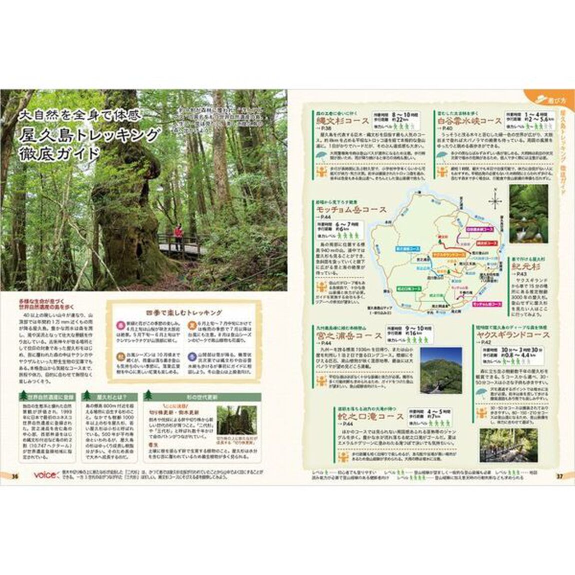 屋久島　多様な生命が息づく雨に包まれた太古の島