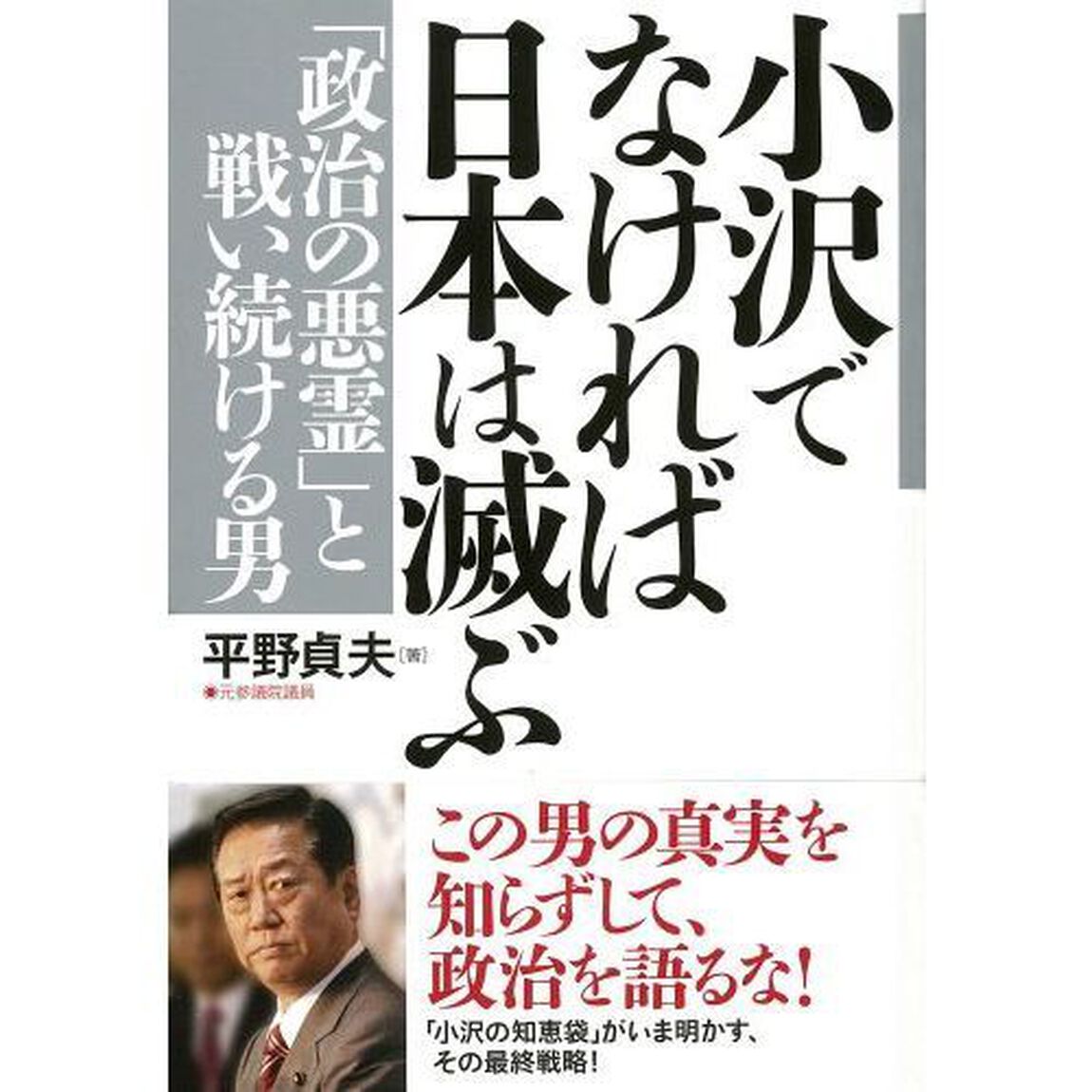 小沢でなければ日本は滅ぶ　「政治の悪霊」と戦い続ける男
