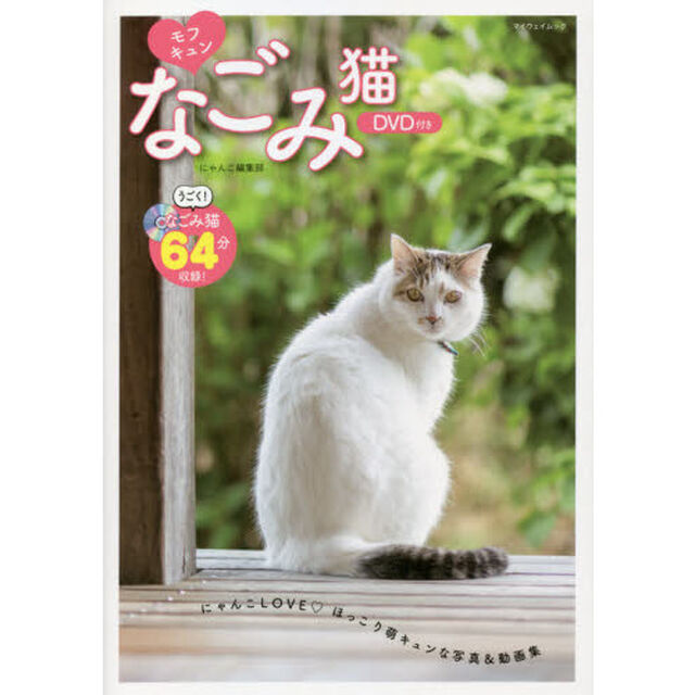 モフキュンなごみ猫