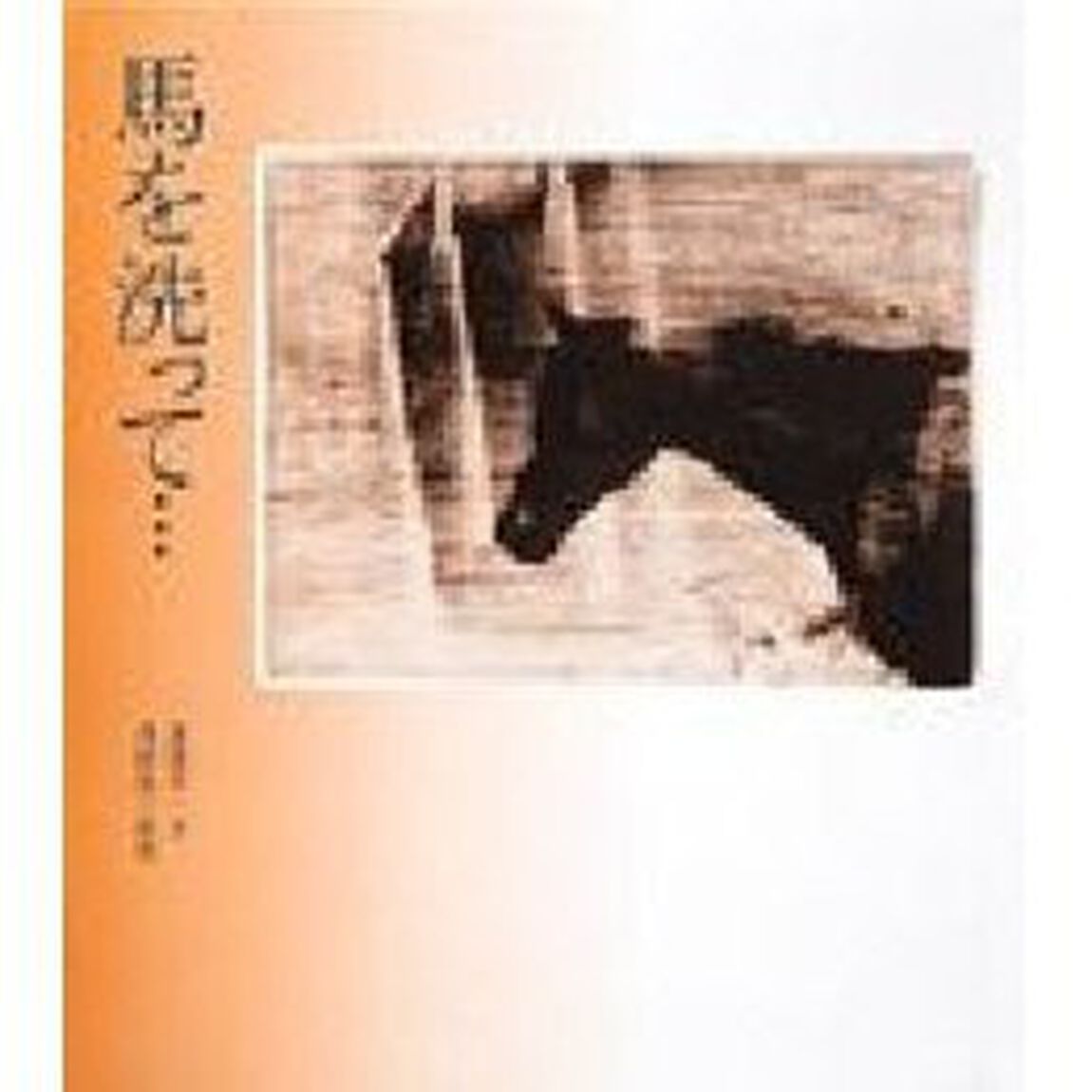 馬を洗って&hellip;