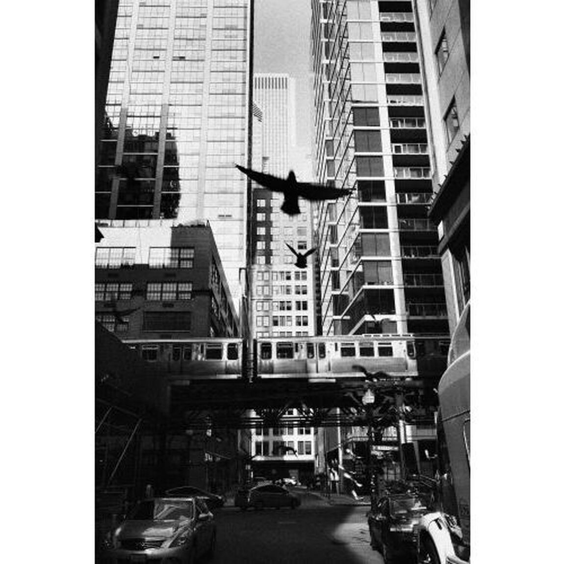 ＤＯＷＮ　ＯＮ　ＴＨＥ　ＳＴＲＥＥＴ
